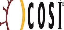 Cosi Menu Prices