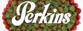 Perkins Menu Prices