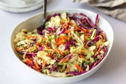 Coleslaw recipes